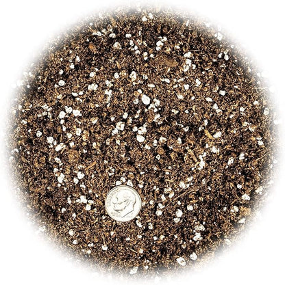 GARDENERA Premium Jade Plant Potting Soil Mix - (2 Quart Bag)