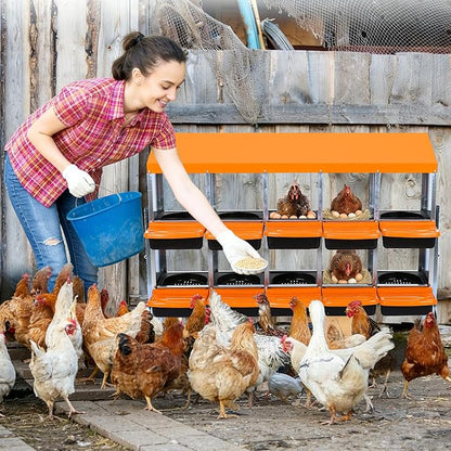 Chicken Nesting Box, 10 Compartment Roll Away Egg Laying Box for Hens, Wall Mounted & Freestanding (2 Modes of Use), Easy Egg Collection, Cleanable Pull Out Nesting Box, Org, WL