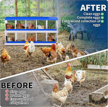 10-Compartment Chicken Nesting Box with Removable Tray - Metal Laying Boxes for Hens - Egg Rollaway Design, Wall Mount Farm Fresh Egg Collector, Hen Roosting Boxes for Chicken Coops