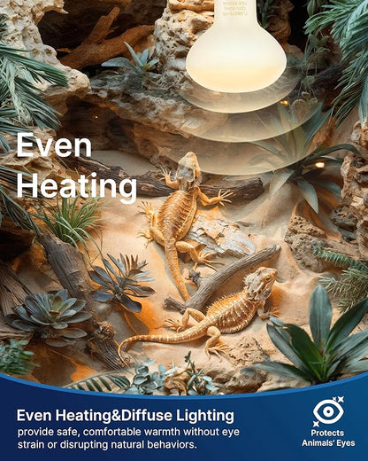 FLSNT 2 Pack Reptile Heat Lamp Bulbs, 75W Basking Light for Amphibian, Bearded Dragon, Lizard, Tortoise, Gecko