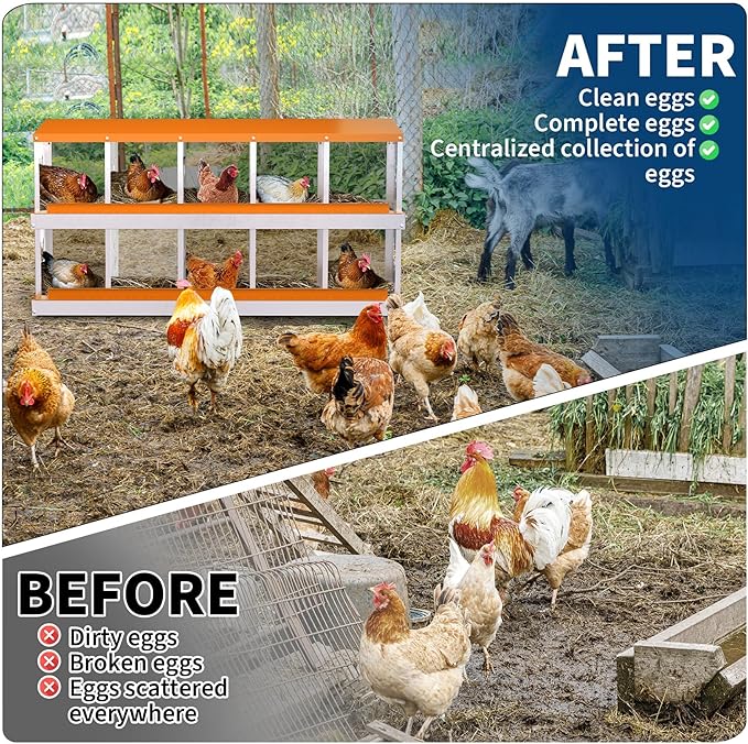 10 Compartment Metal Chicken Nesting Box, Automatic Roll-Out Egg Collection, Waterproof Galvanized Steel Laying Box, for Hens Ducks Rabbits, Orange