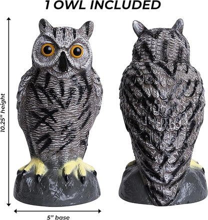 Galashield Owl Decoy to Scare Birds Away | Plastic Owls to Scare Birds Away | Owl Statue for Garden & Outdoors