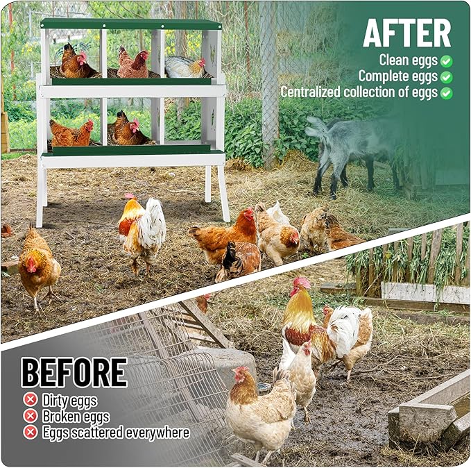 6 Holes Chicken Nesting Boxes, 2 Tiers 6 Compartments Metal Egg Laying Boxes with Legs, Wall Mount or Free Standing, Ventilated for Chickens, Hens, Ducks, Farm, Yard, Poultry Coop Accessories, Green
