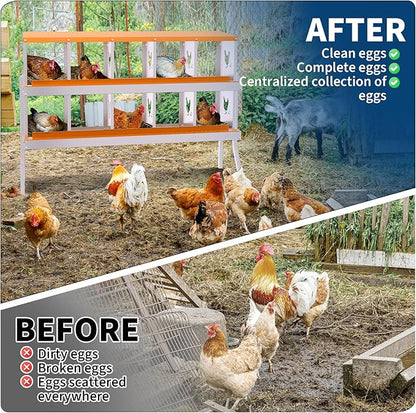 Chicken Nesting Box,10 Compartments Galvanized Steel Metal Chicken Laying Box with Roll Out Egg Collection,Wall Mount Chicken Nesting Boxes,Easy Egg Collection, Hen Roosting Boxes