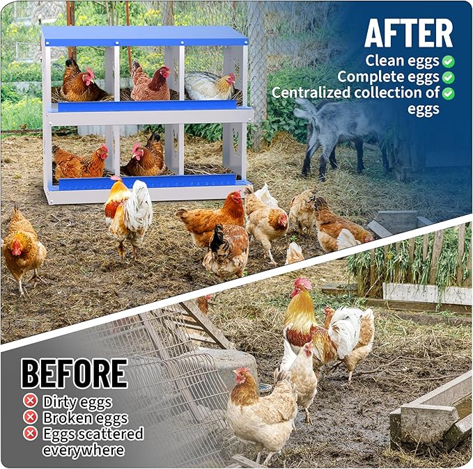 Nesting Boxes for Chickens, Chicken Coop Laying Boxes for Hens with Egg Rollaway System to Protect Eggs, 6/8/10-Hole Galvanized Steel Chicken Nesting Boxes Backyard Farm, Easy to Clean