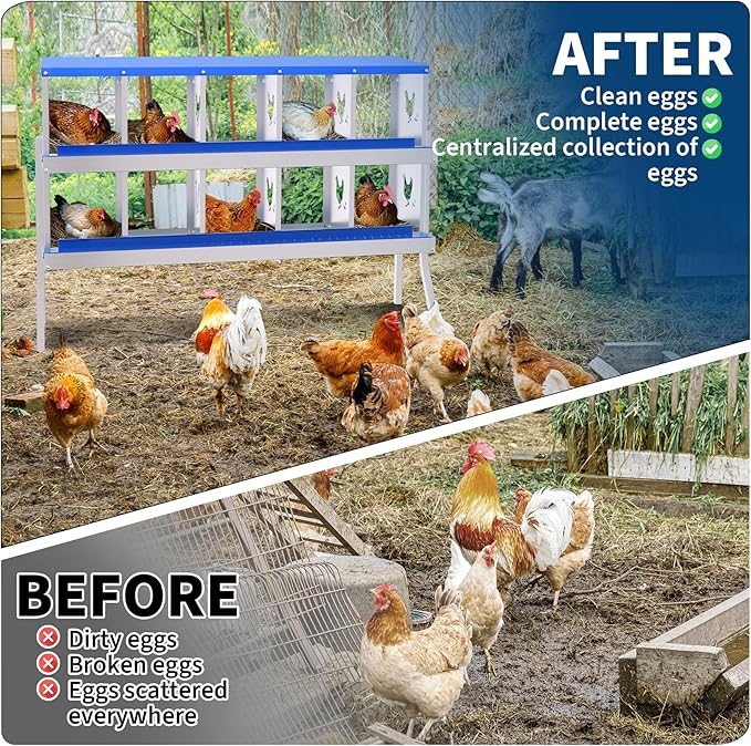 Chicken Nesting Box,10 Compartments Galvanized Steel Metal Chicken Laying Box with Roll Out Egg Collection,Wall Mount Chicken Nesting Boxes,Easy Egg Collection, Hen Roosting Boxes