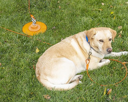 IntelliLeash 40FT Tie-Out Cables for Dogs - Strong, Safe, and Durable Dog Tie-Outs for Small Dogs up to 125 Pounds - Weather and Wear Resistant Galvanized Aircraft Cable for Outside Use