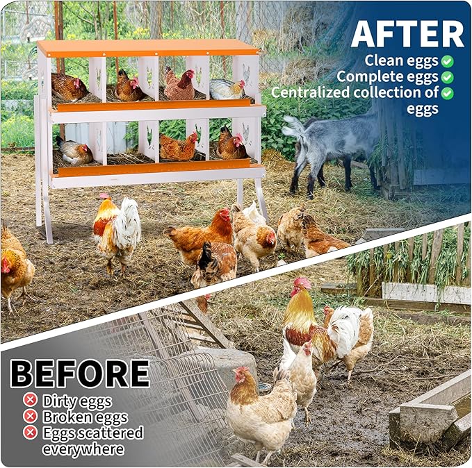 Nesting Boxes for Chickens, Chicken Coop Laying Boxes for Hens with Egg Rollaway System to Protect Eggs, 6/8/10-Hole Galvanized Steel Chicken Nesting Boxes Backyard Farm, Easy to Clean