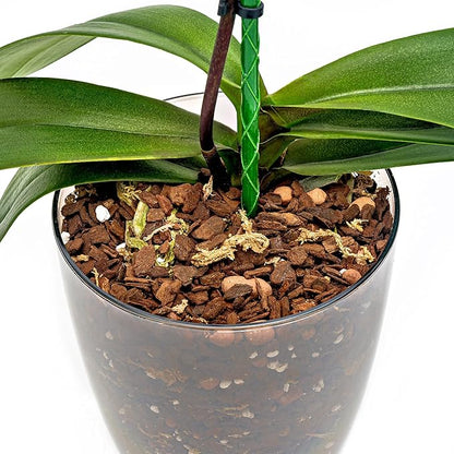 Organic Premium Orchid Soil Mix by Gardenera - Hand Mixed Classic Sphagnum Moss Potting Soil Mix - for Phalaenopsis Orchid - 3 Quart - Made in USA