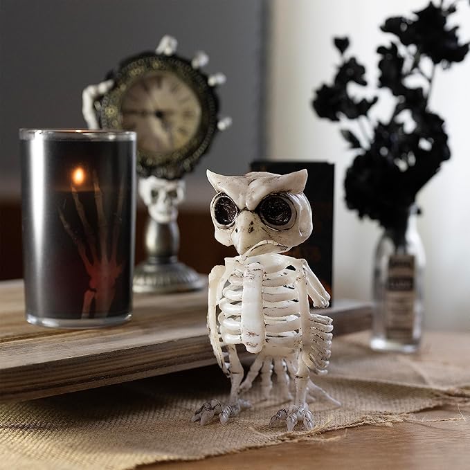 SCS Direct Owl Skeleton Halloween Decoration (2 Pack) - 6.5" Long - Weather Resistant for Indoor/Outdoor - Upgrade Your Fall Graveyard Haunted House Party Props, Trick-or-Treat Decor